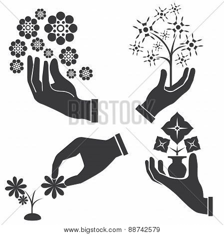 hand holding bouquets, flowers