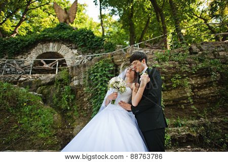 Young Beautiful Wedding Couple At The Bridge