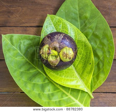 Single Mangostin And Fresh Green Leaf