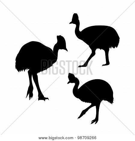 Cassowary bird vector silhouettes.