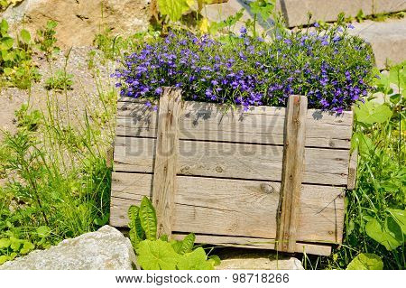 Flowers In Crate