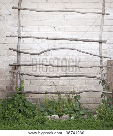 ladder for creeper plants, wall background
