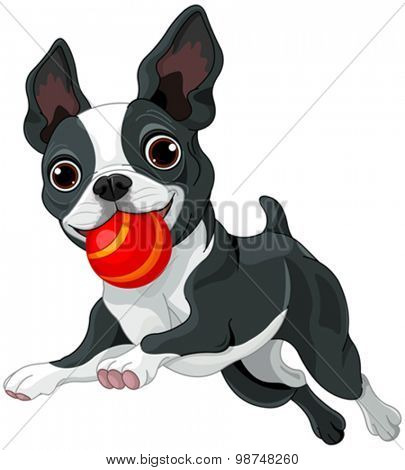 Illustration of Boston terrier running with ball