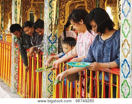 Feeding Catfish In The Pond Of Botataung Pagoda