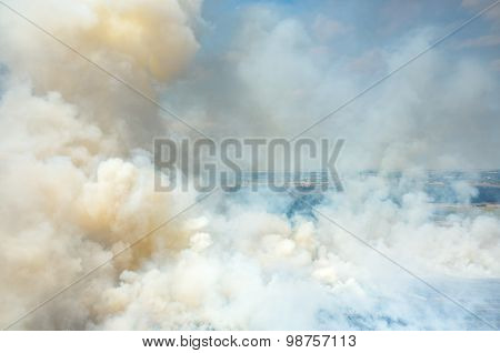 Fire On The Field