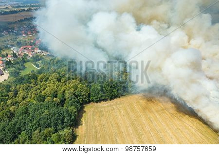 Fire On The Field