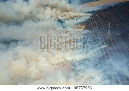 Fire On The Field
