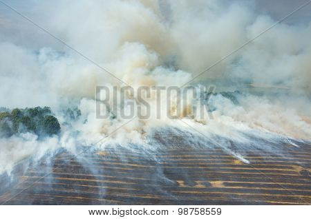 Fire On The Field