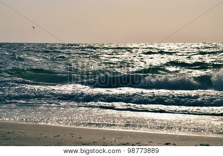 Seawaves in the light
