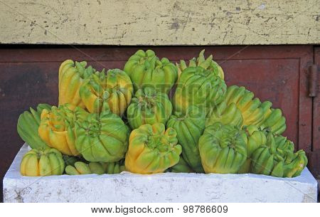 Buddha's hand fruit, fingered citron, Citrus medica