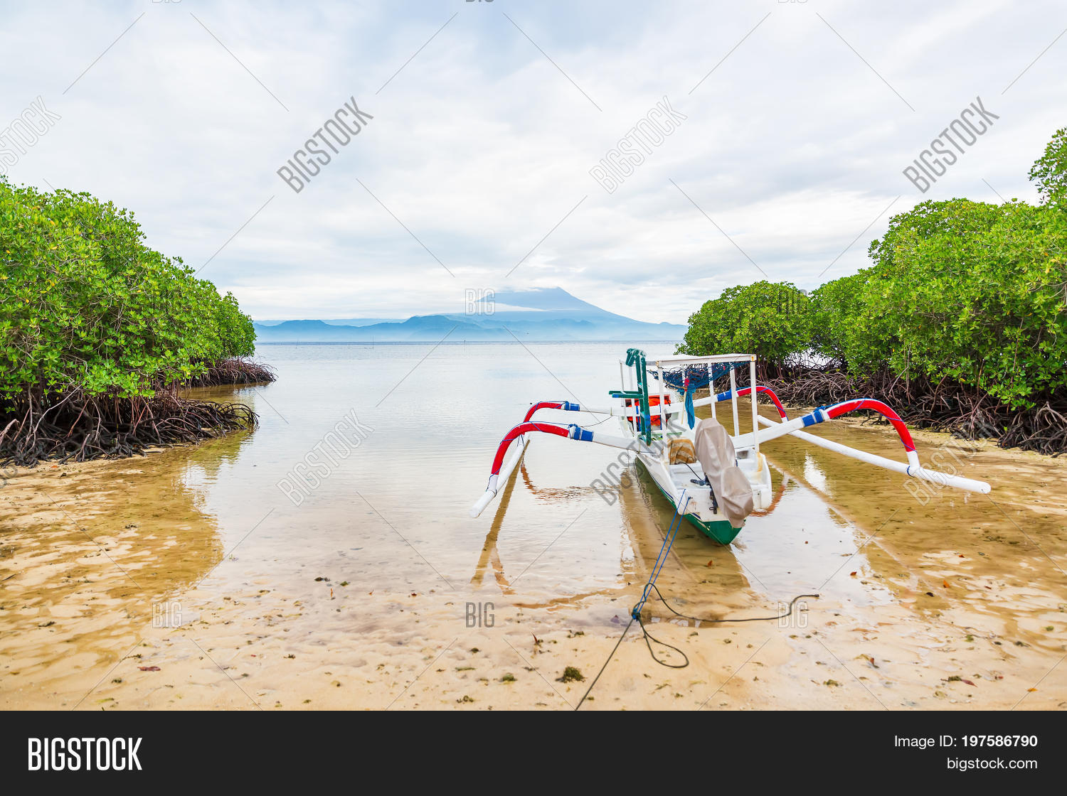 Boat Mangrove Ocean Image & Photo (Free Trial) Bigstock