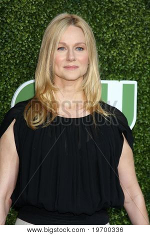 LOS ANGELES - JUL 28: Laura Linney dorazí na části turné letní Press 2010 CBS, CW, Showtime