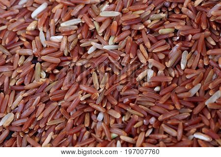 coarse rice or half polished rice background uncooked raw cereals macro closeup