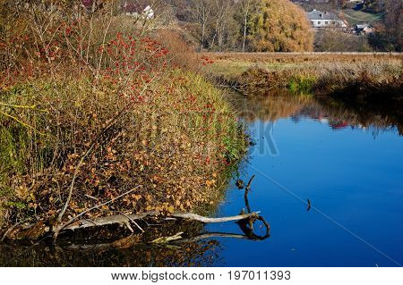 A View Of The Blue Water Flow And Vegetation In The Countryside.