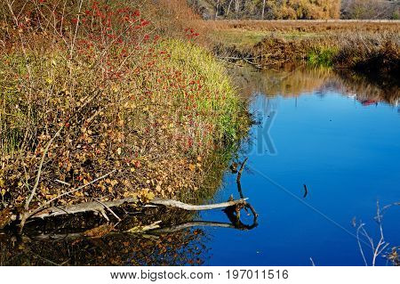 A View Of The Blue Water Flow And Vegetation In The Countryside.