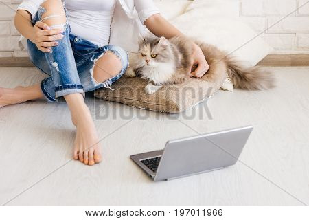 Cat with young woman have relax on cozy cushions with laptop in foreground. Charming family pet, people and animals cosiness concept