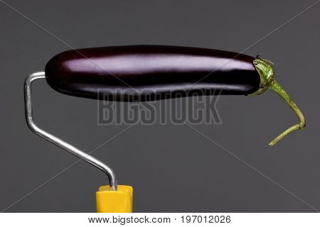 Paint Roller eggplant on gray background. Fashion food concept.Creative advertising