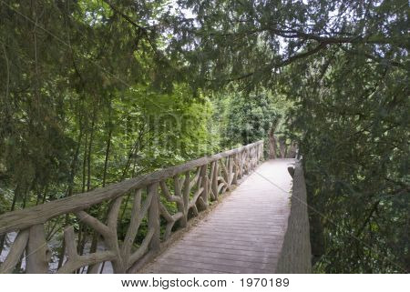 단풍으로 둘러싸인 다리