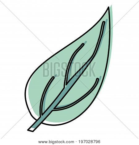 watercolor silhouette of hand drawing big aovada leaf plant vector illustration