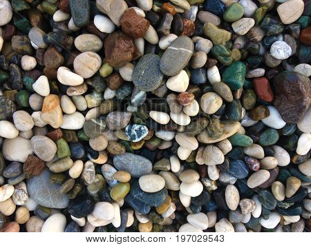 Coastal sea pebbles, different shapes and shades