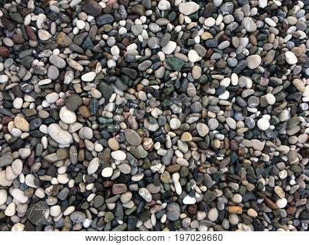 Coastal sea pebbles, different shapes and shades