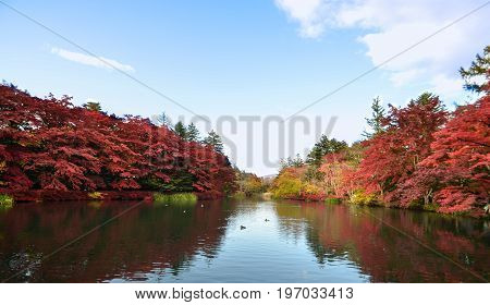 Autumn color scenery at Kumoba Lake, Japan
