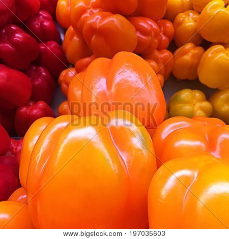Colorful pepper: red, orande, yellow. Mobile photo