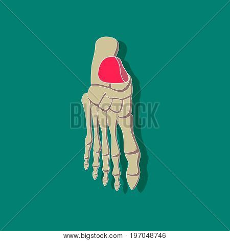 foot skeleton paper sticker on stylish background