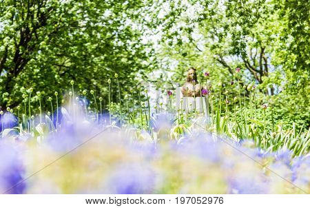 Montreal, Canada - May 27, 2017: Bokeh Of Blue And Purple Flowers And Statue In Sir Wilfred Laurier
