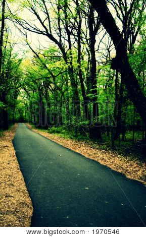 Vicolo dritto Park