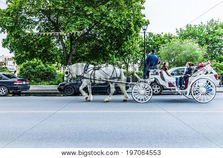 Montreal, Canada - May 27, 2017: Old Town Area With Tour Guide On Road In Horse Carriage Buggy At Ni