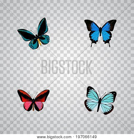 Realistic Callicore Cynosura, Lexias, Demophoon And Other Vector Elements