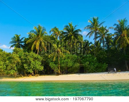 The palms at Embudu Village Island, Maledives, Indian Ocean