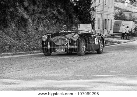 GOLA DEL FURLO, ITALY - MAY 19: AUSTIN HEALEY 100/4 1956 on an old racing car in rally Mille Miglia 2017 the famous italian historical race (1927-1957) on May 19 2017