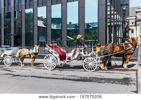 Montreal, Canada - May 28, 2017: Old Town Area With Tour Guide On Road In Horse Carriage Buggy Durin
