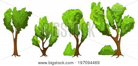 Trees set on white baskground. Vector illustration