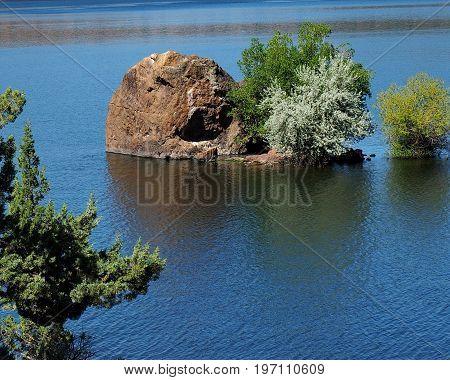 A huge boulder an several trees partially underwater in Prineville Reservoir in Central Oregon with a juniper tree in the foreground on a sunny summer day.