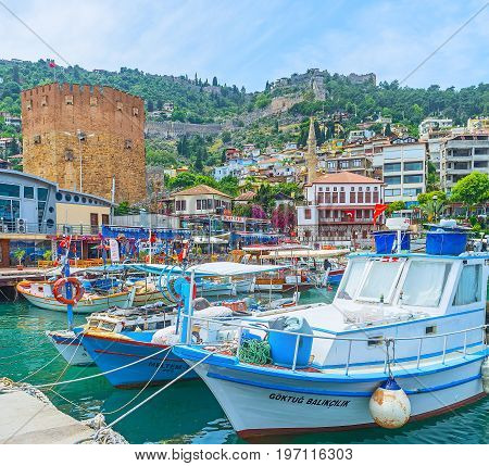 Fishing In Alanya