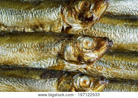 detail shot showing some fresh smoked sprats