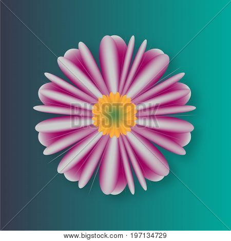 a semi-realistic vector flower on a blue background.
