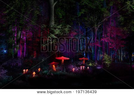 MOSCOW, JUL. 23, 2017: Night lights show 