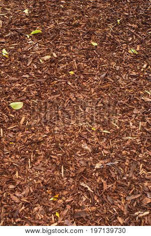 Mulch background and texture for graphic design.