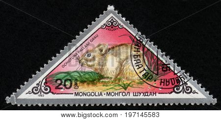 UKRAINE - CIRCA 2017: A postage stamp printed in Mongolia shows Pallas's Pika Ochotona pallasi from series Various mammals circa 1983