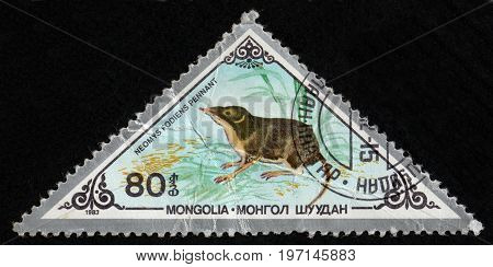 UKRAINE - CIRCA 2017: A postage stamp printed in Mongolia shows Eurasian Water Shrew Neomys fodiens from series Various mammals circa 1983