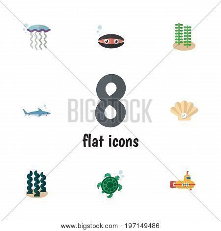Flat Icon Nature Set Of Alga, Medusa, Tortoise And Other Vector Objects