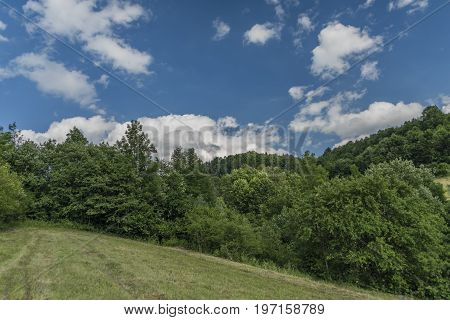 Sunny Summer Day Over Lesnica Village In National Park Pieniny