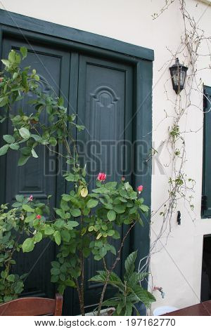 Green door and roses. Athenes, Plaka old town.