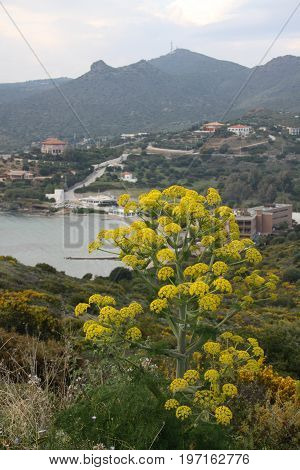 Greek vacations. Tour on Cape Suonio, Aegean sea