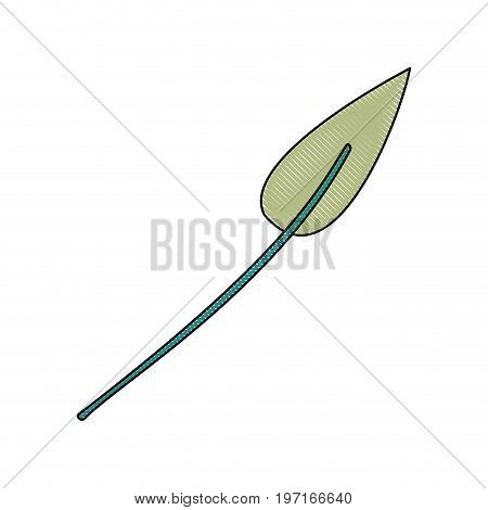 crayon silhouette of green light color of small lanceolate leaf plant vector illustration