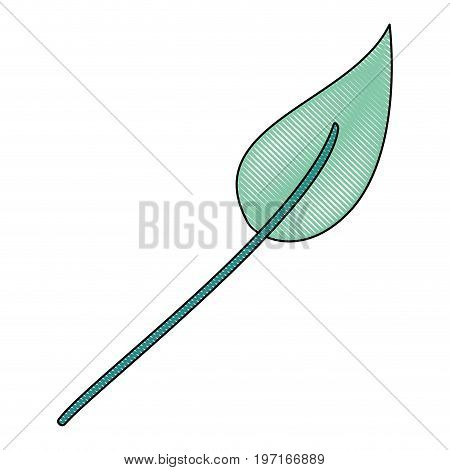 crayon silhouette of green light color of lanceolate leaf plant vector illustration
